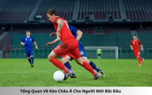 Tổng Quan Về Kèo Châu Á Cho Người Mới Bắt Đầu