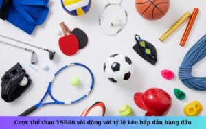 Cược thể thao YSB66 sôi động với tỷ lệ kèo hấp dẫn hàng đầu