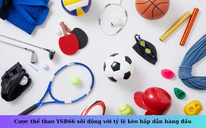 Cược thể thao YSB66 sôi động với tỷ lệ kèo hấp dẫn hàng đầu