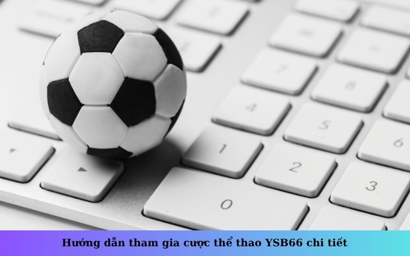 Hướng dẫn tham gia cược thể thao YSB66 chi tiết