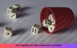 Trải Nghiệm Xóc Đĩa Livestream XocDia88