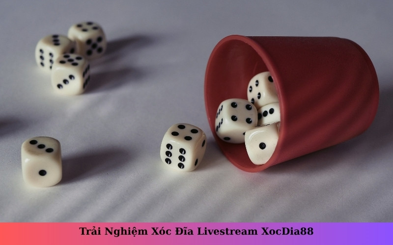 Trải Nghiệm Xóc Đĩa Livestream XocDia88
