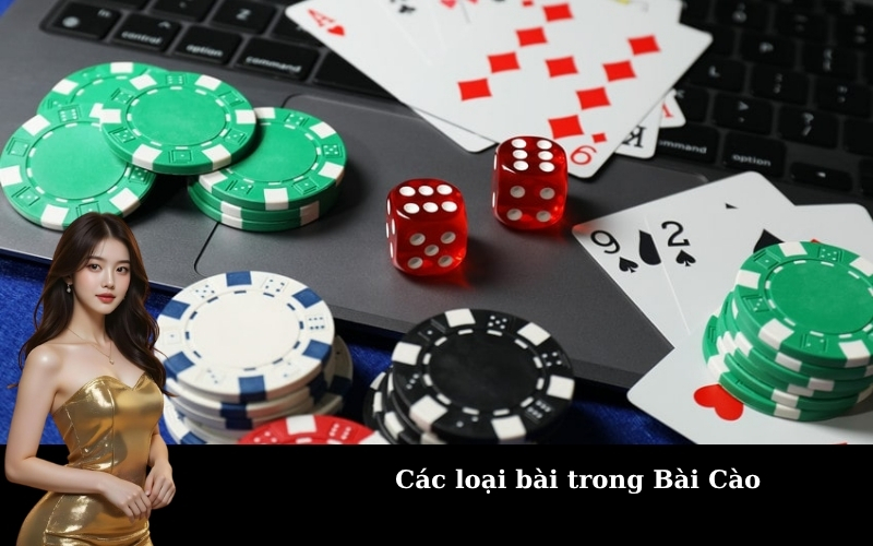 Các loại bài trong Bài Cào