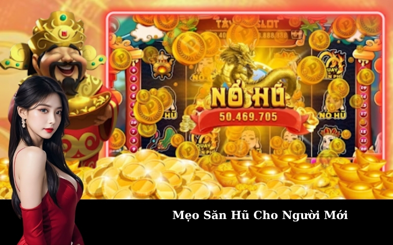 Mẹo Săn Hũ Cho Người Mới